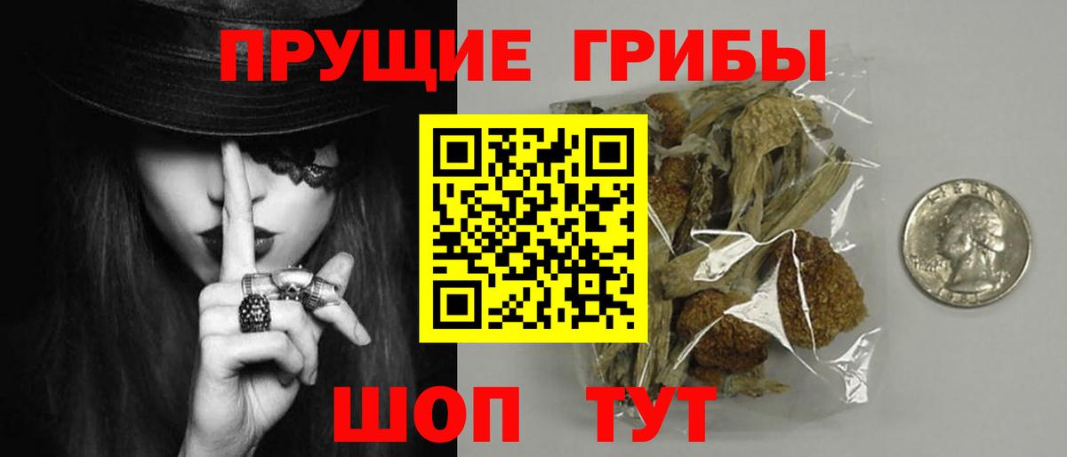 Домодедово  Галлюциногенные грибы Psilocybe  Вход с VPN 